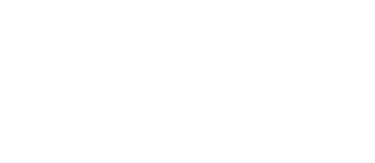 Sun Micro